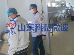 微波食品殺菌機工廠直銷價格與供應信息解析