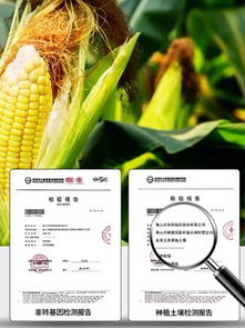 粗糧飲料市場黑馬突圍，熱銷商超與餐飲渠道，經銷商利差可期